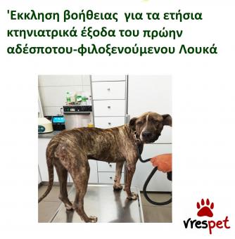 Ράτσα: Άλλη Ράτσα | Ηλικία: 4 ετών | Φύλο: Αρσενικό | Αρ. Microchip: 983232212121212 | Περιοχή: Αττική
